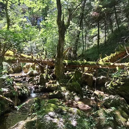 Chalet λ Wood By The Mainalon Trail - For Adventurers *