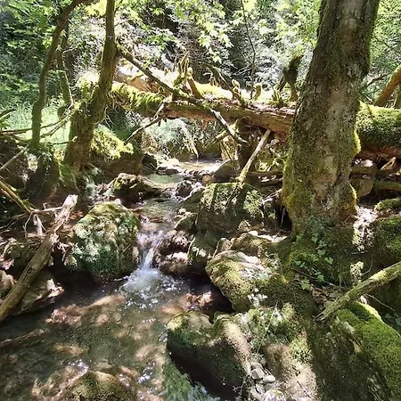 λ Wood By The Mainalon Trail - For Adventurers *