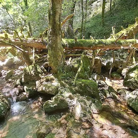 Chalet λ Wood By The Mainalon Trail - For Adventurers