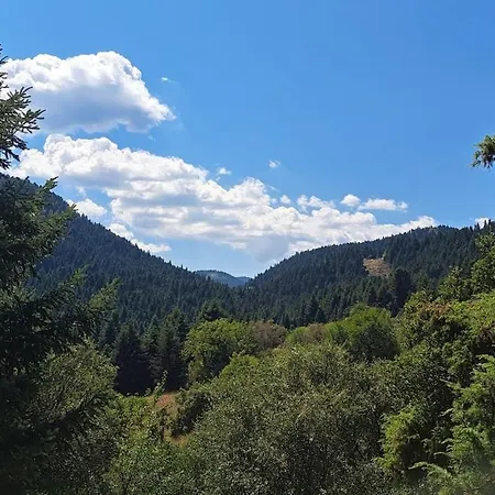 λ Wood By The Mainalon Trail - For Adventurers Chalet Vitina