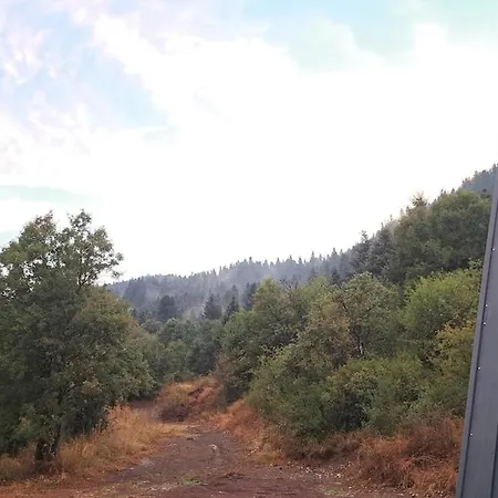 λ Wood By The Mainalon Trail - For Adventurers Vitina