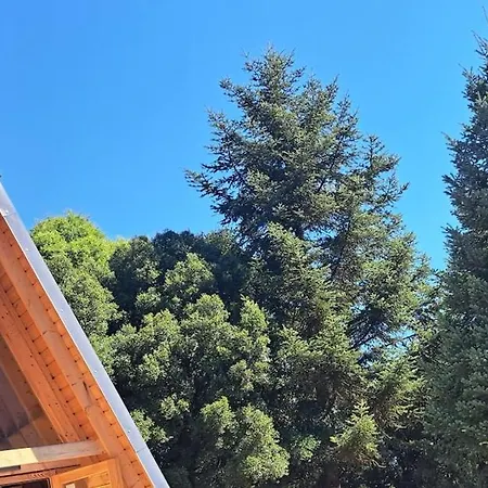 λ Wood By The Mainalon Trail - For Adventurers *