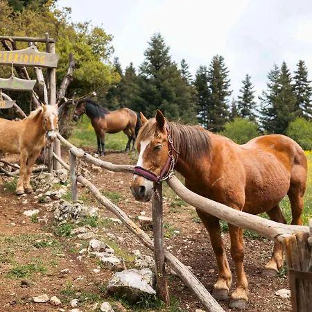 λ Wood By The Mainalon Trail - For Adventurers Chalet *